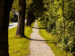 Fotowalk Pfarrwerfen - Bahnhof Werfen